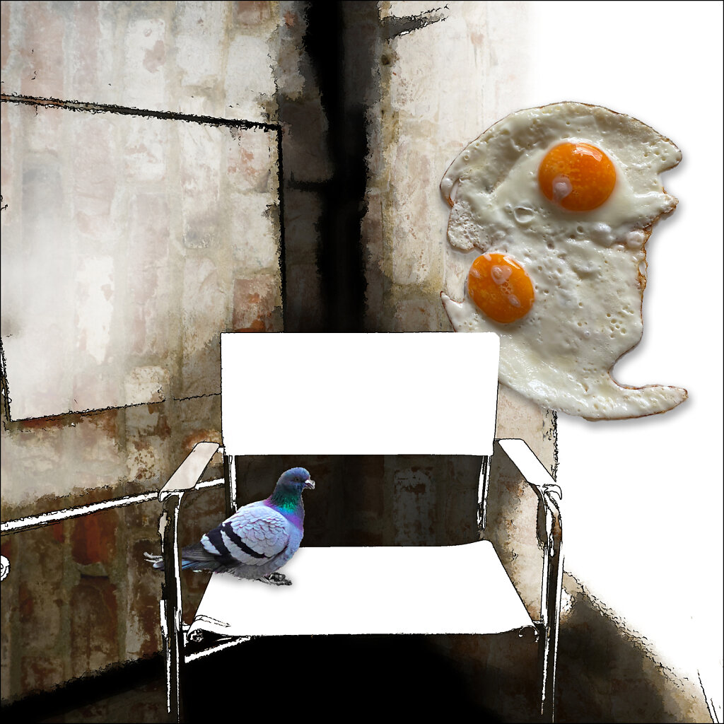 chair with fried eggs and pigeon